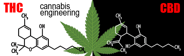 cannabis engineering