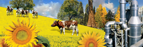 biodiesel