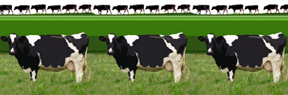 biogas