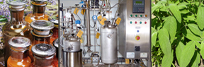 Extraction system