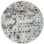 fouled heat exchanger